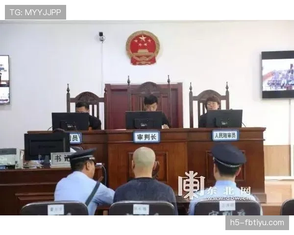 纪律委员会处罚和裁判判罚有什么区别？规则解读与适用场景分析